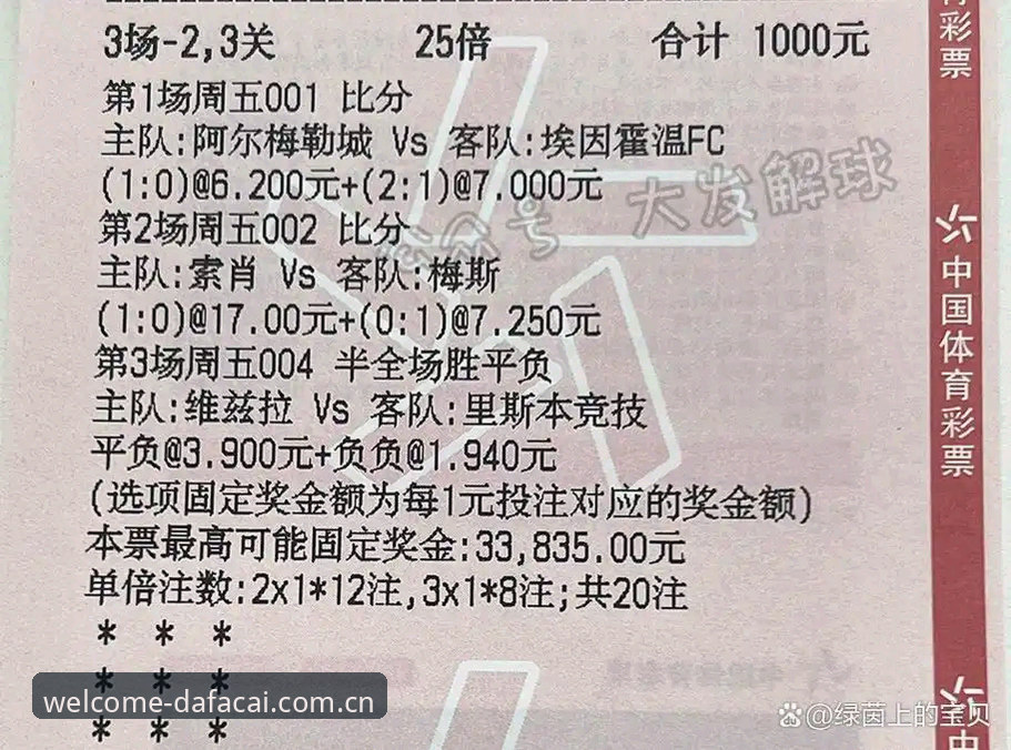大发彩票平台功能解析与安全登录指南